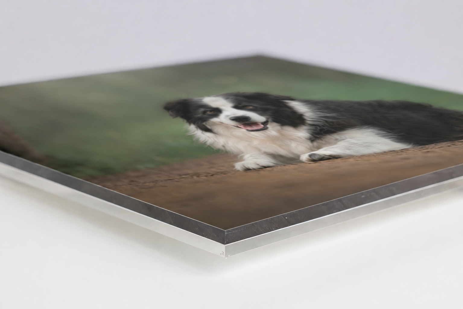 Hero Glass edge detail — Top Dog Photography
